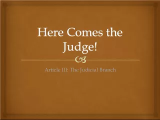 The Role of the Judicial Branch in the Federal Government