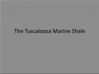 Understanding the Tuscaloosa Marine Shale