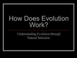 Understanding Evolution through Natural Selection: The Big Idea Questions