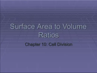 Understanding Surface Area in Chapter 10: Cell Division