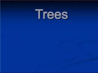 Types of Fir Trees