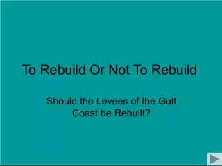 To Rebuild or Not to Rebuild: The Debate over Gulf Coast Levees