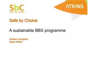 Safe by Choice: Promoting a Sustainable BBS Programme for Safety and Responsibility