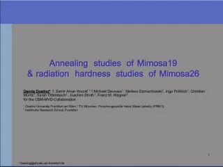 Annealing and Radiation Hardness Studies of Mimosa-Based Detectors