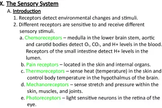 Understanding the Sensory System: Receptors and Stimuli
