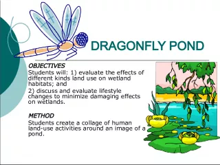 Evaluating Human Impact on Wetlands Using a Dragonfly Pond Collage