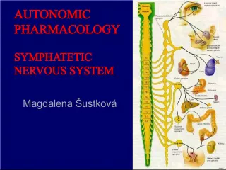 Autonomic Pharmacology - Understanding the Sympathetic and Parasympathetic Nervous System