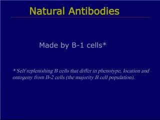 Natural Antibodies Made by B1 Cells: Key Players in Innate Immunity