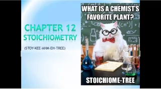 Introduction to Stoichiometry in Chemistry