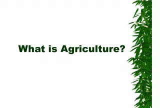 Agriculture: What it is and its Importance
