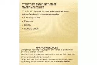 The Four Macromolecules: Structure and Function