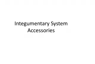 Functions of Hair in the Integumentary System Accessories