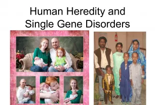 Understanding Human Heredity and Gene Disorders: Autosomal and Mutations