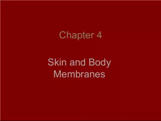 Body Membranes: Skin and Mucous Membranes