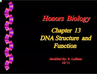 Honors Biology Chapter 13: DNA Structure and Function