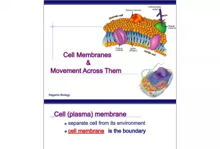 Regents Biology 2006-2007: Cell Membranes and Movement Across Them