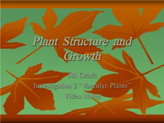 Plant Structure and Growth: Investigation 2 - Vascular Plants