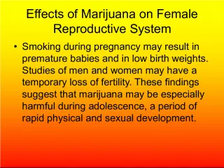 The Effects of Marijuana on the Reproductive System