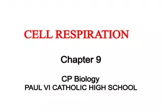 CELL RESPIRATION
