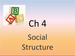 Understanding Social Structure