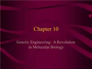 Genetic Engineering: Revolutionizing Molecular Biology