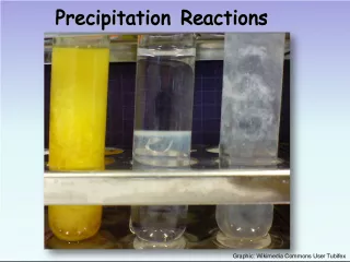 Precipitation Reactions: Understanding Double Replacement Reactions