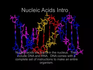 Introduction to Nucleic Acids