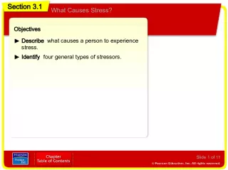What Causes Stress