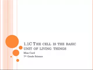 The Cell: The Basic Unit of Living Things