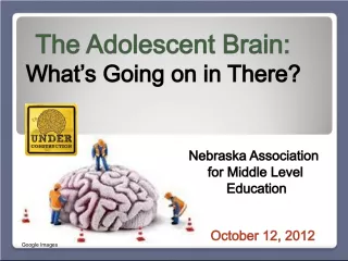 The Adolescent Brain: What's Going on in There?