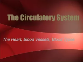 The Circulatory System: A Closed Network of Blood Vessels and the Heart