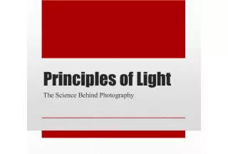 Understanding the Principles of Light in Photography