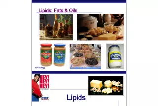 Understanding Lipids: Fats & Oils in AP Biology
