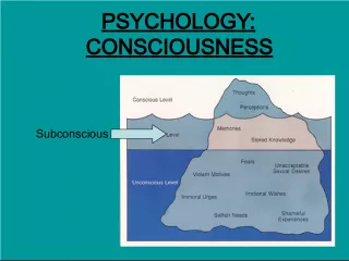 The Construct of Consciousness: Understanding the Subconscious