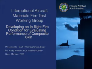 Federal Aviation Administration's Efforts in Developing In-Flight Fire Tests for Evaluating Performance of Composite Skin
