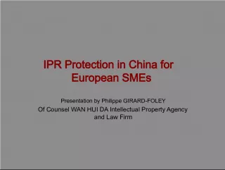 IPR Protection in China for European SMEs