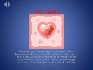 The Incredible Workings of Your Heart
