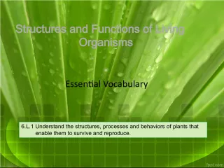Structures and Functions of Plants