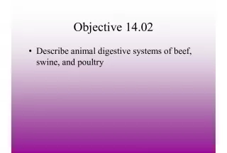 Animal Digestive Systems: Beef, Swine, and Poultry