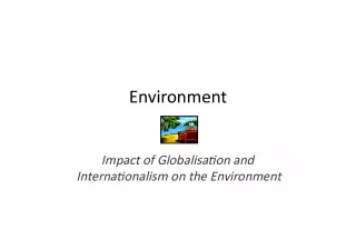 The Environmental Impacts of Globalisation and Internationalism: A Case Study of Royal Dutch Shell in Nigeria's Niger Delta Region.