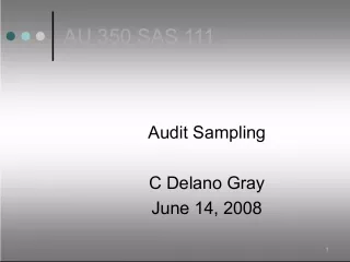 Audit Standards and Sampling Procedures