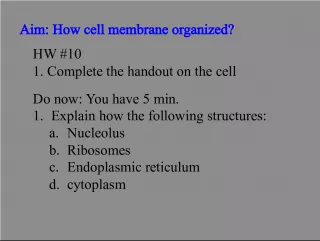 Organization of Cell Membrane