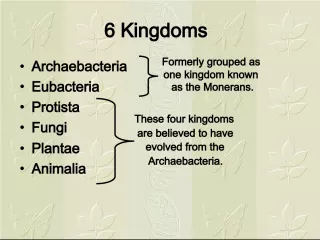The Four Kingdoms of Life's Evolution