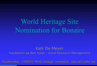 Bonaire's Coral Reef Nominated as World Heritage Site