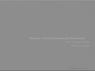 Economy of Natural Resources and Environment for Sustainable Energy Systems
