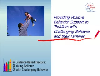 Positive Behavior Support for Toddlers with Challenging Behavior