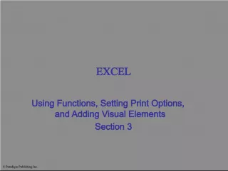 Excel Functions, Printing, and Visual Elements Skills