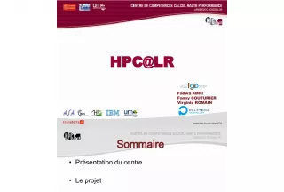 HPC LR Project: Presentation, Approach and Outcome
