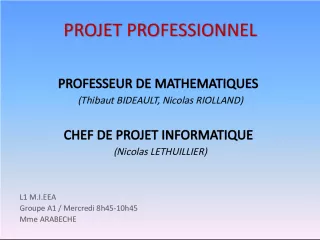 Project Analysis of Career Choices in Mathematics Teaching and IT Project Management