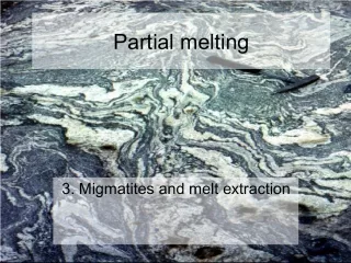 Processes and Components of Migmatites